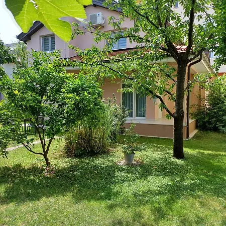 Apartamento Tamara With Garden And River View - Free Private Parking - Garage Mostar